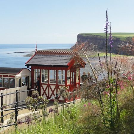 Saltburn Holidays Jasmine Cottage Saltburn Extérieur photo